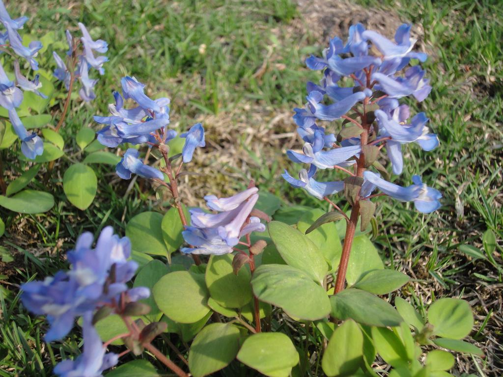 Farm Inn Anima no Sato Abashiri Esterno foto