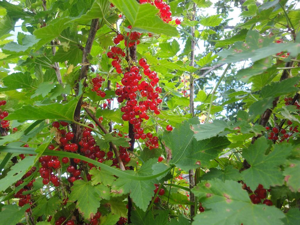 Farm Inn Anima no Sato Abashiri Esterno foto